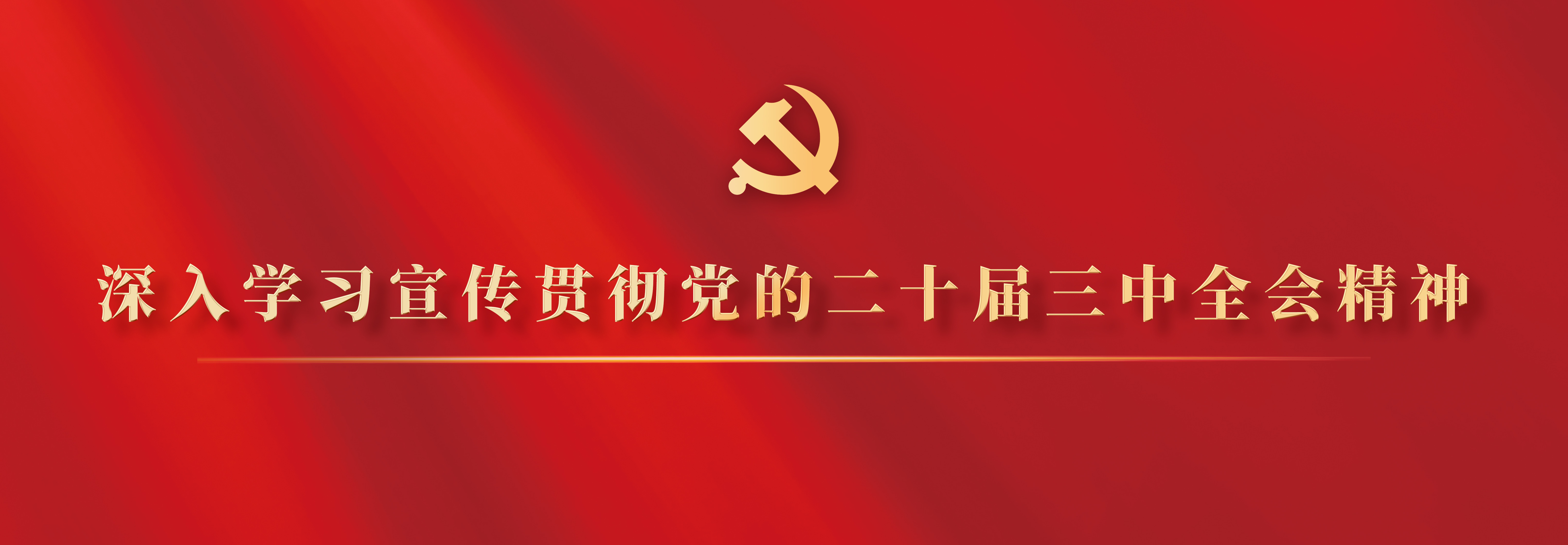 深入学习宣传贯彻党的二十届三中全会精神